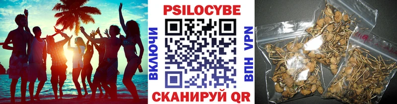 мега tor Лебедянь Галлюциногенные грибы прущие грибы